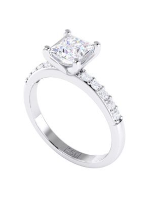  Princess Cut Diamond Engagement Ring